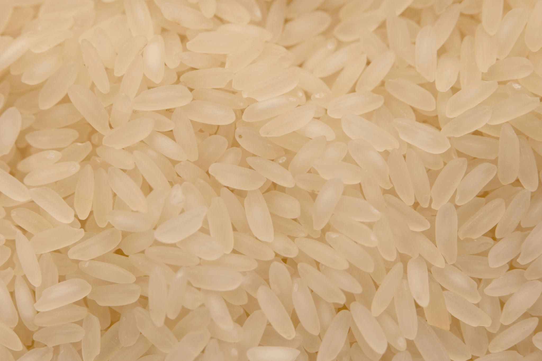 White Rice 5% Broken (Export Quality Bulk Bags)