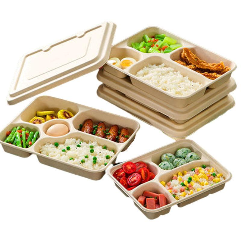 Eco-Friendly Food Packaging (Bagasse Containers)